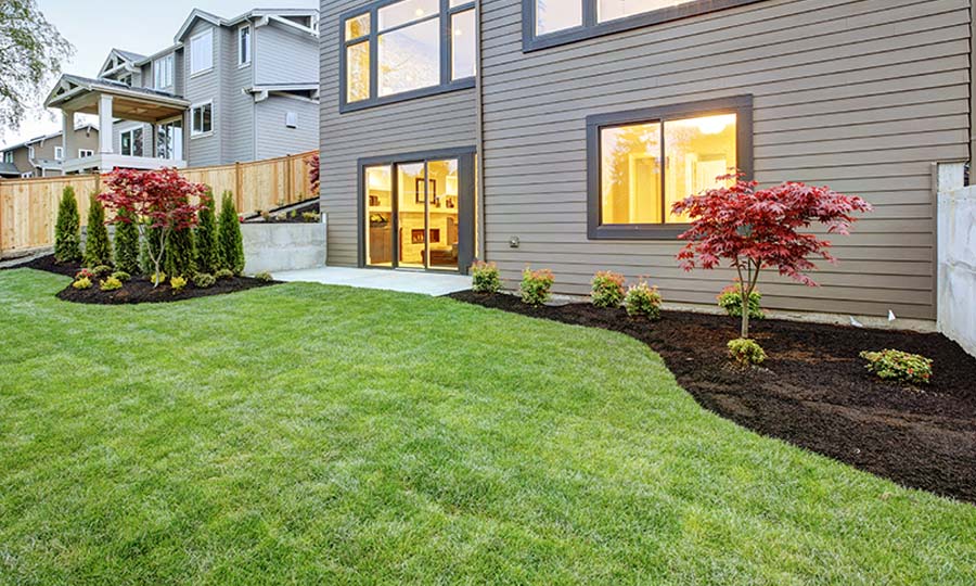 Softscape design and maintenance hamilton